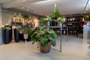 Sag es durch die Blume | RIEDO coiffure & floristic Marc und Jan Riedo konnten in ihrem neuen Ladenlokal in Laupen aus dem Vollen schöpfen - dank sagenhaften 430 Quadratmetern.